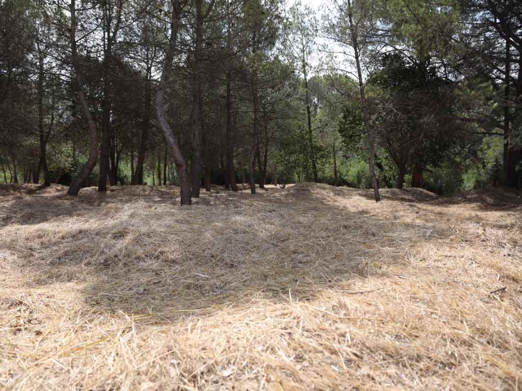 Premsa Sant Cugat - Medi ambient